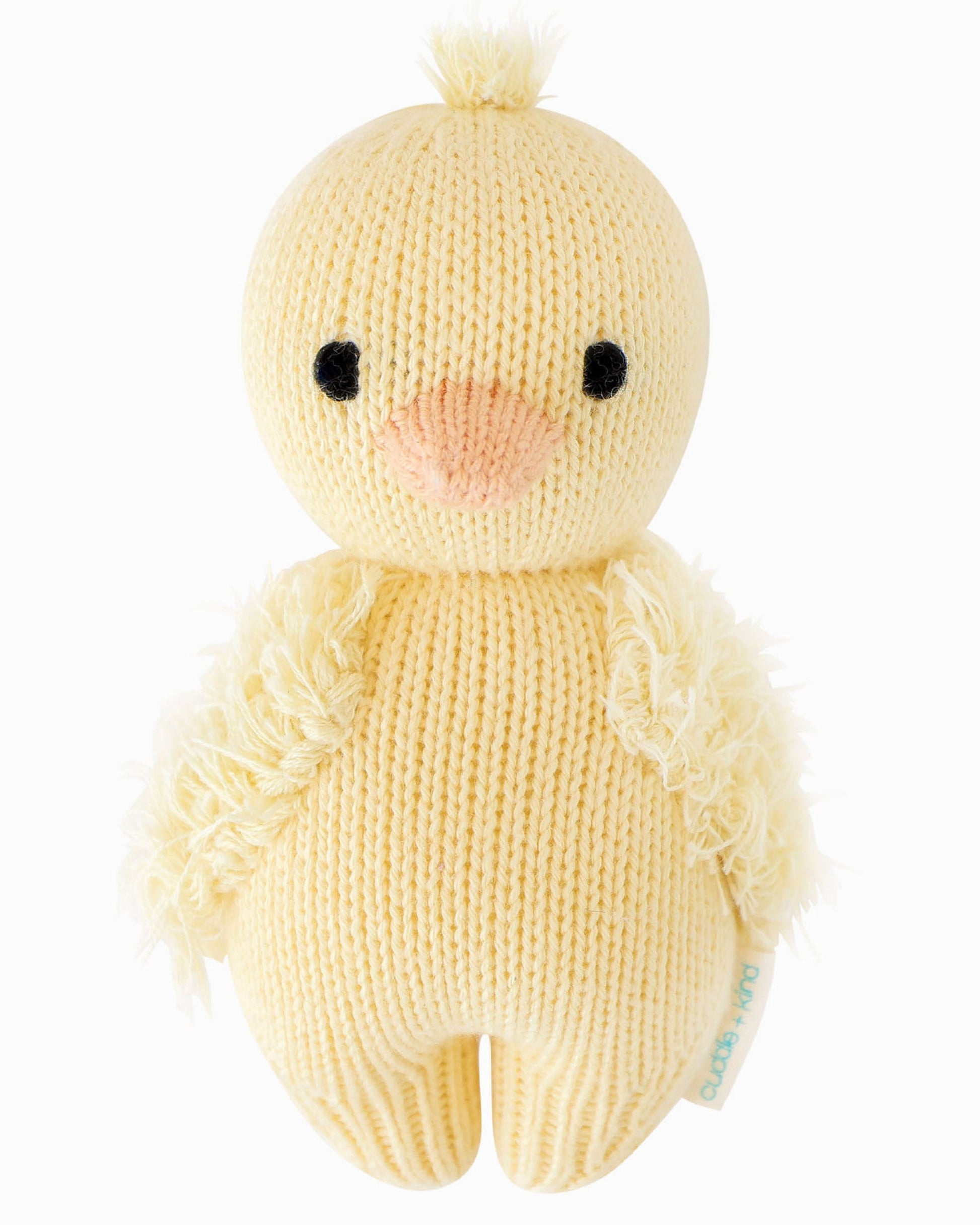 Baby duckling