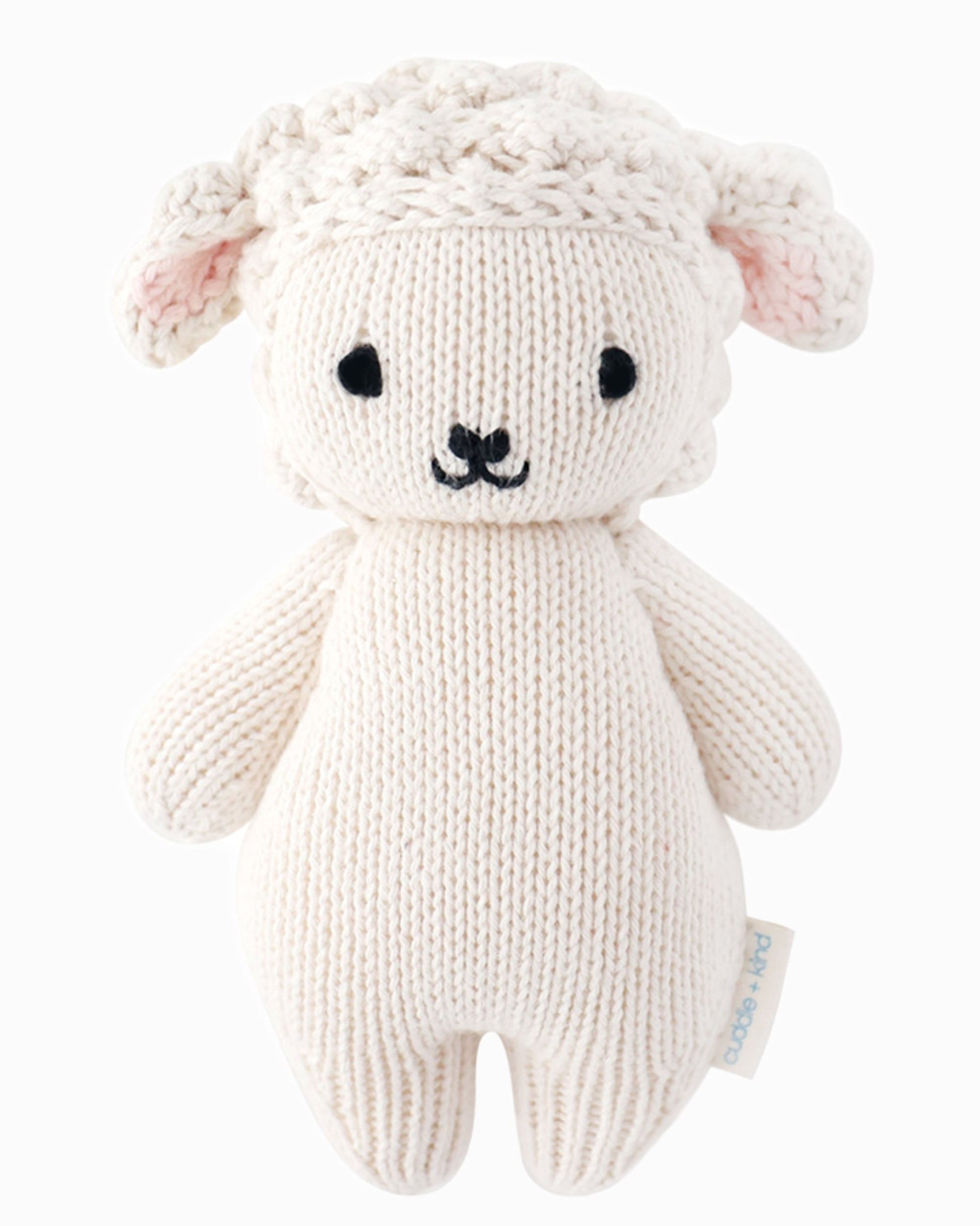 Baby lamb